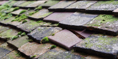 Tir Y Dail roof repair costs